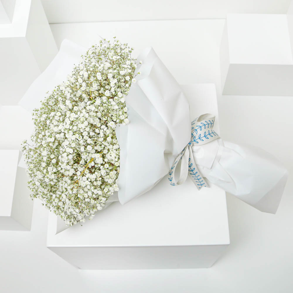 White Baby's Breath Bouquet
