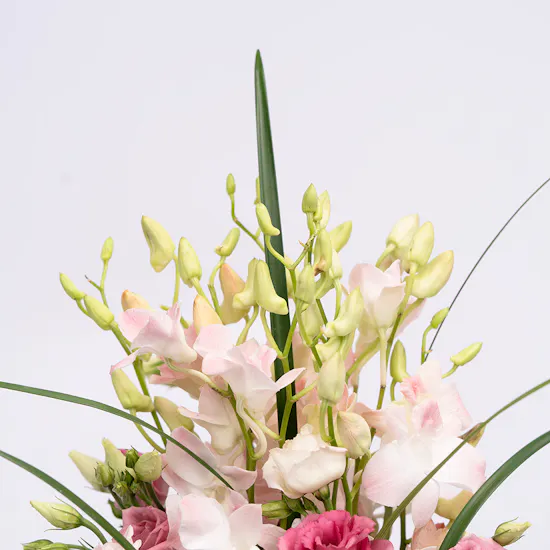 Pink Garden Tray | Chocolate