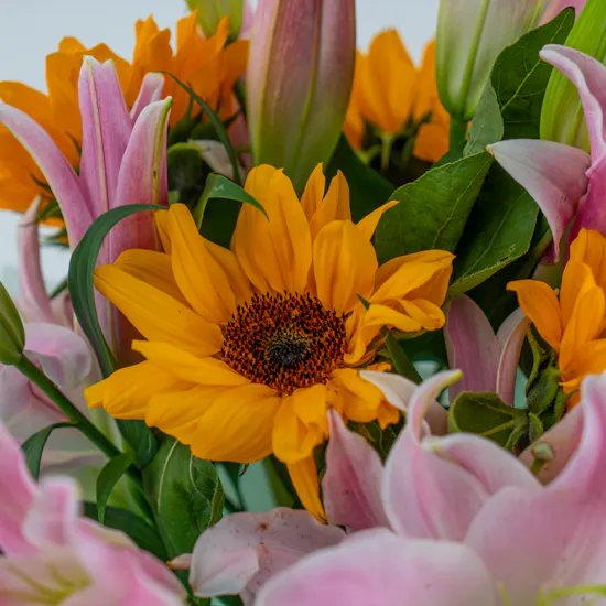 Follow the Sun | Bouquet