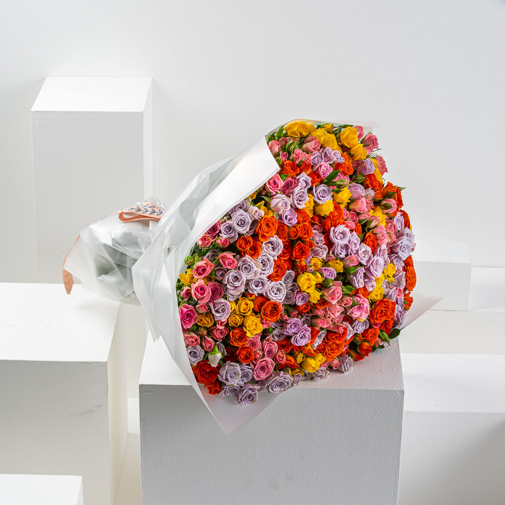 Rainbow | Multi Color Baby Roses
