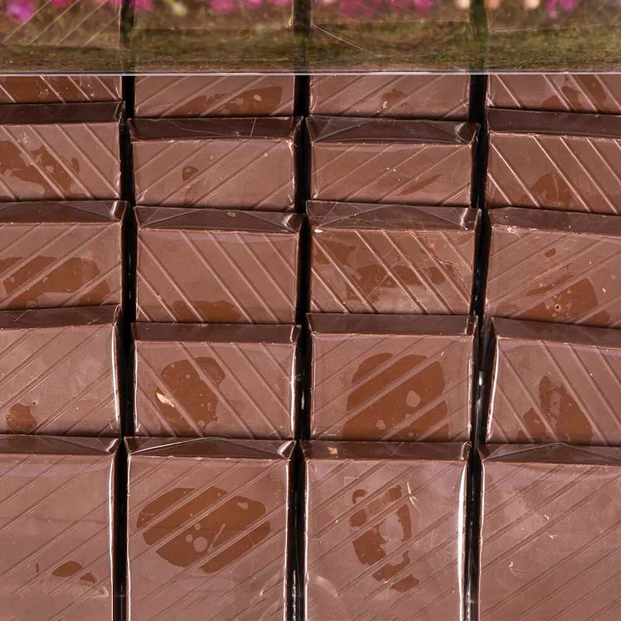 Garden Chocolate 3