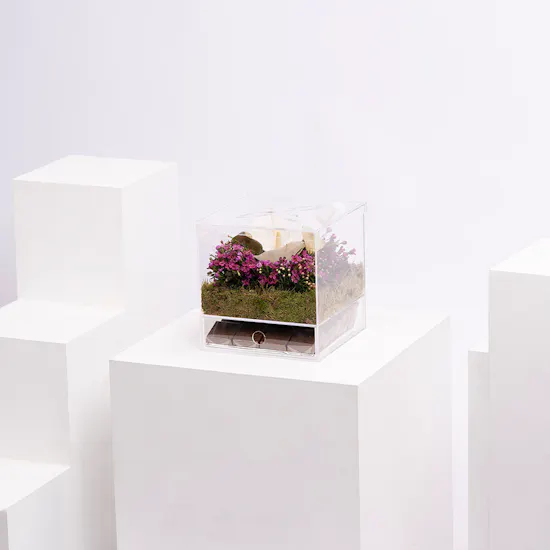 Garden Chocolate