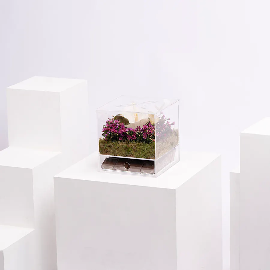 Garden Chocolate 2