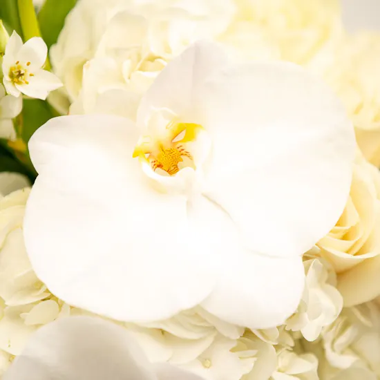 Purity Vase | 41 Flowers