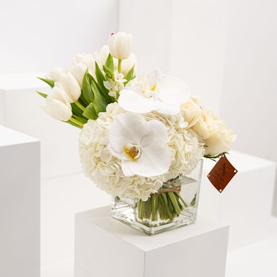 Purity Vase | 41 Flowers