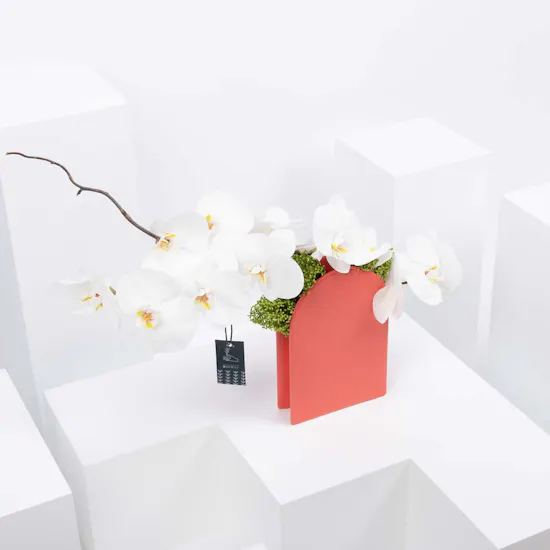 Poise | White Orchids