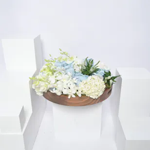 Welcome Baby  By Godiva I