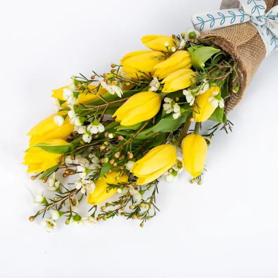 STYLISH SPRING