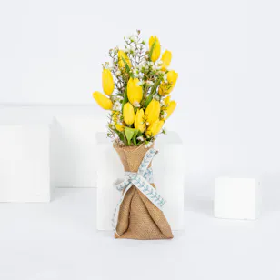STYLISH SPRING