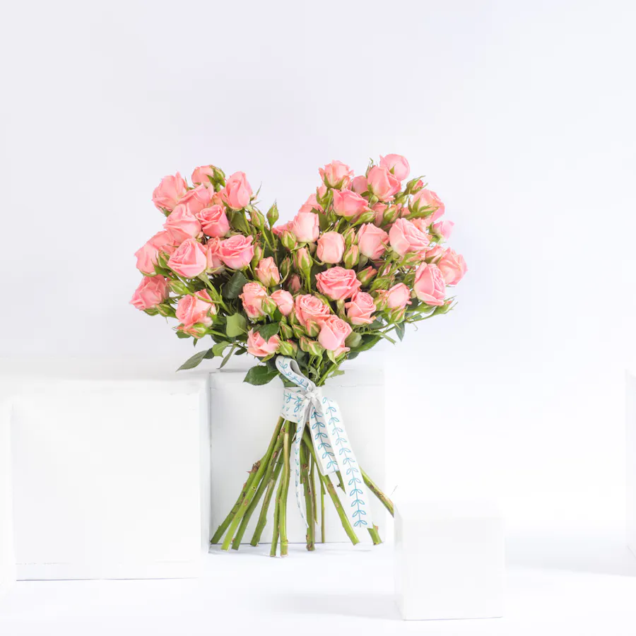 Pink Heart | 25 Roses 1