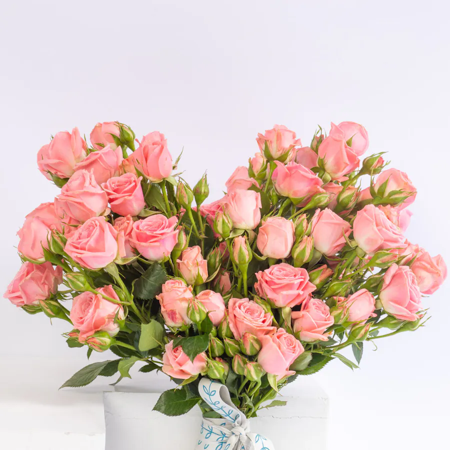Pink Heart | 25 Roses 3
