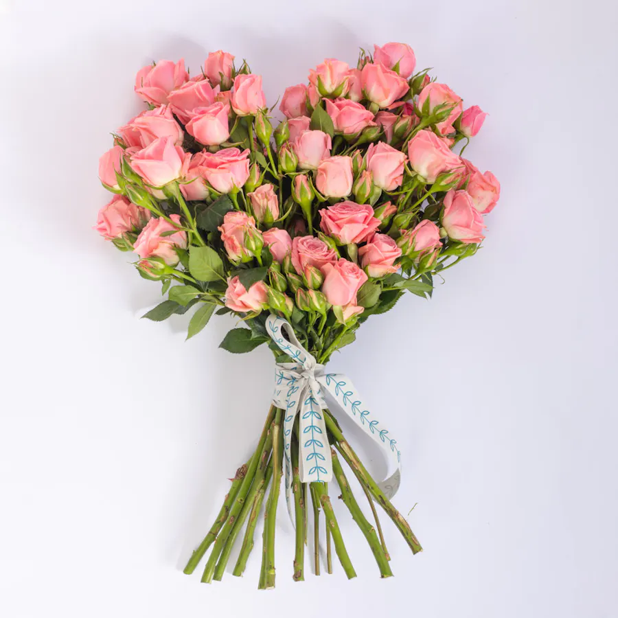 Pink Heart | 25 Roses 2