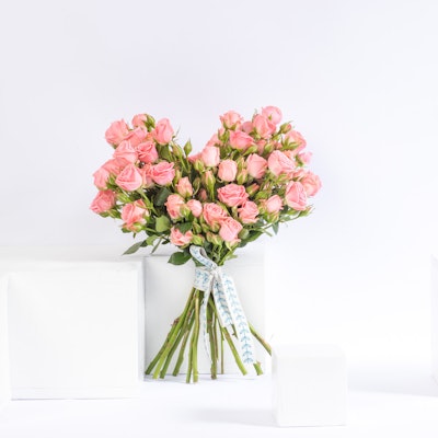 Pink Heart | Pink Baby Rose