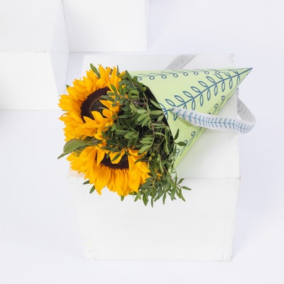 SUN FLOWERS CONE
