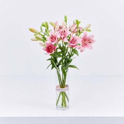 Blossoming Pink Lilies
