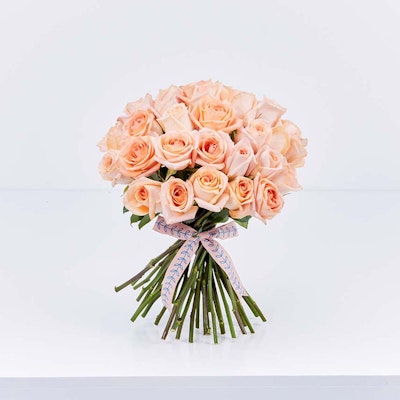 35 Peach Roses