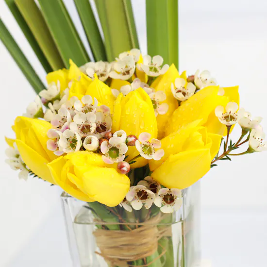 Cake Boutique | 10 Tulip
