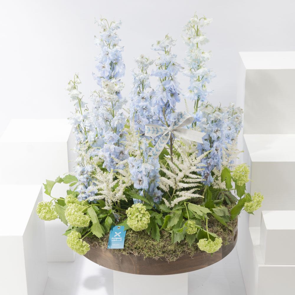 ريش أزرق | 25 زهرة