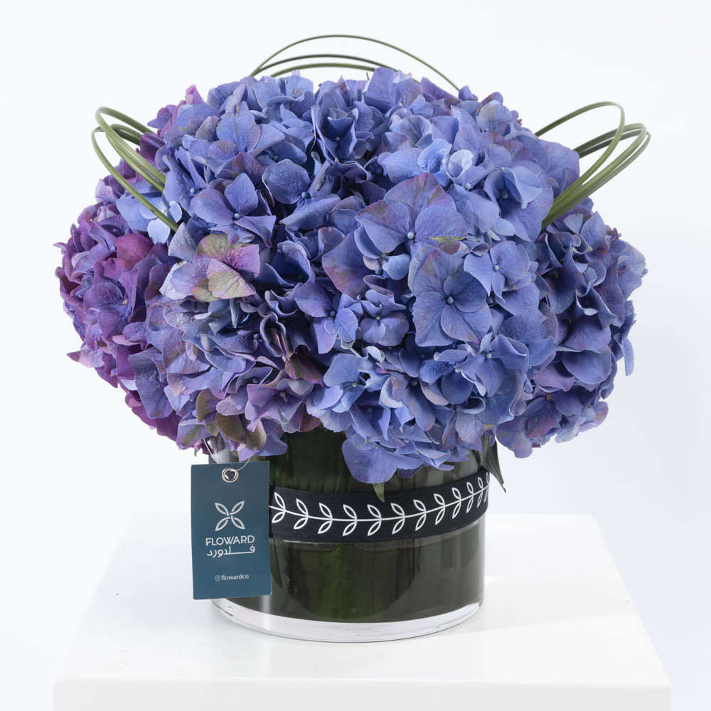 الضوء البنفسجي