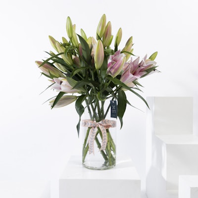Pink Lilies | Cylinder Vase