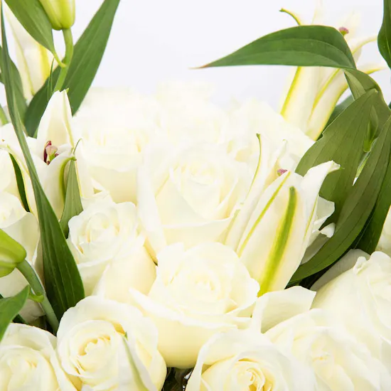 Lily and Roses | Glass Vase