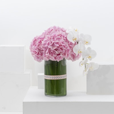 Pink Hydrangea & White Orchids | Glass Vase