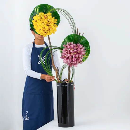 Orchidaceae