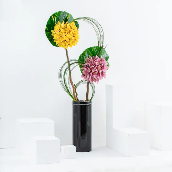 Orchidaceae