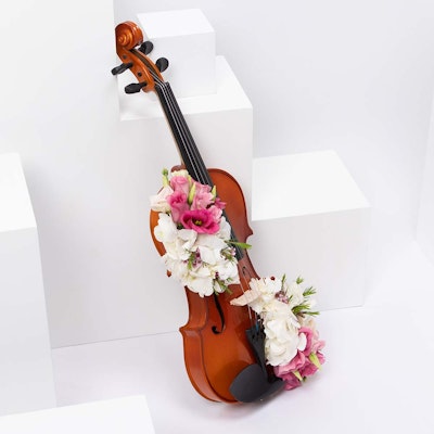 violin and flowers