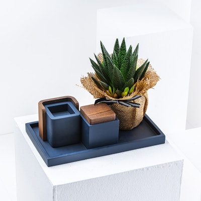 Istekanti Mubkhar Tray with Succulent