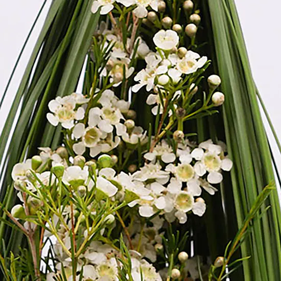 Tower of whiteness