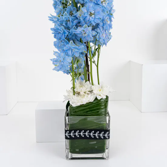 Boldly Blue | Square Vase