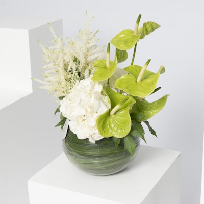 White & Green | Glass Vase