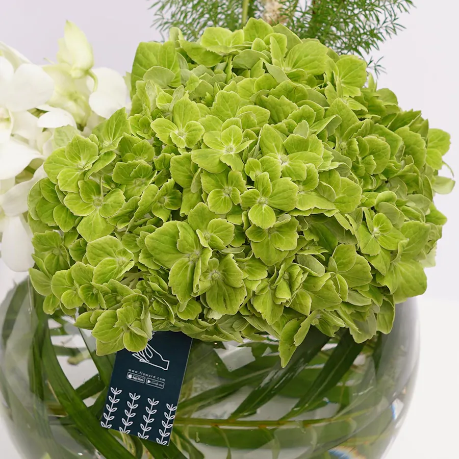 The Green Lake Vase 5