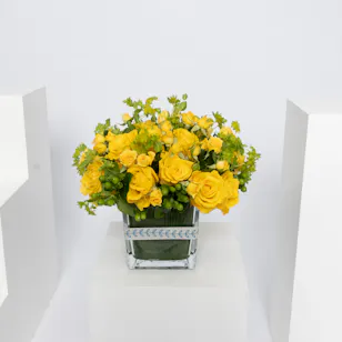 Green Bupleurum Vase Green Bupleurum Vase
