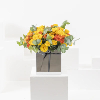 Orange Grove Orange Grove