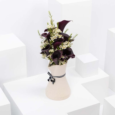 Calla Dallah