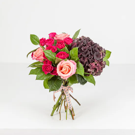 Merlot Magenta