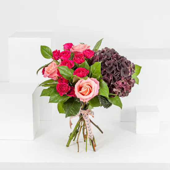 Merlot Magenta