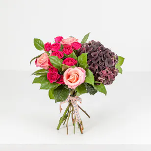 Merlot Magenta
