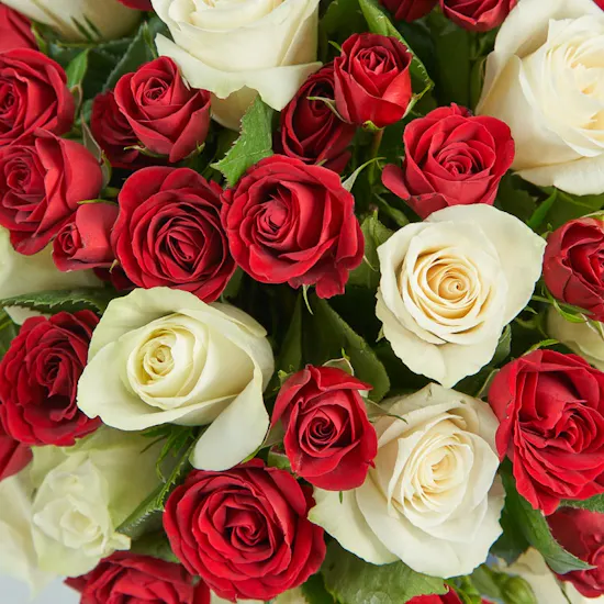 35 White Roses | Round Box
