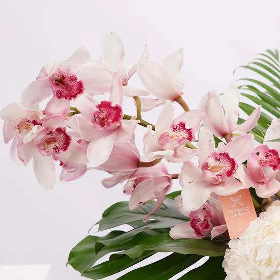 Eva | White Hydrangea & Pink Lily