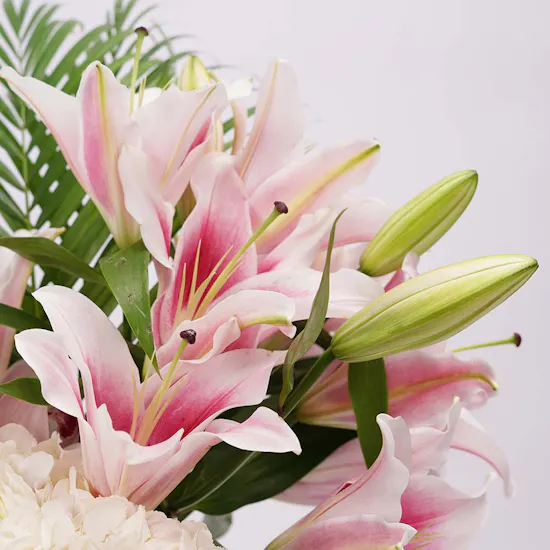 Eva | White Hydrangea & Pink Lily