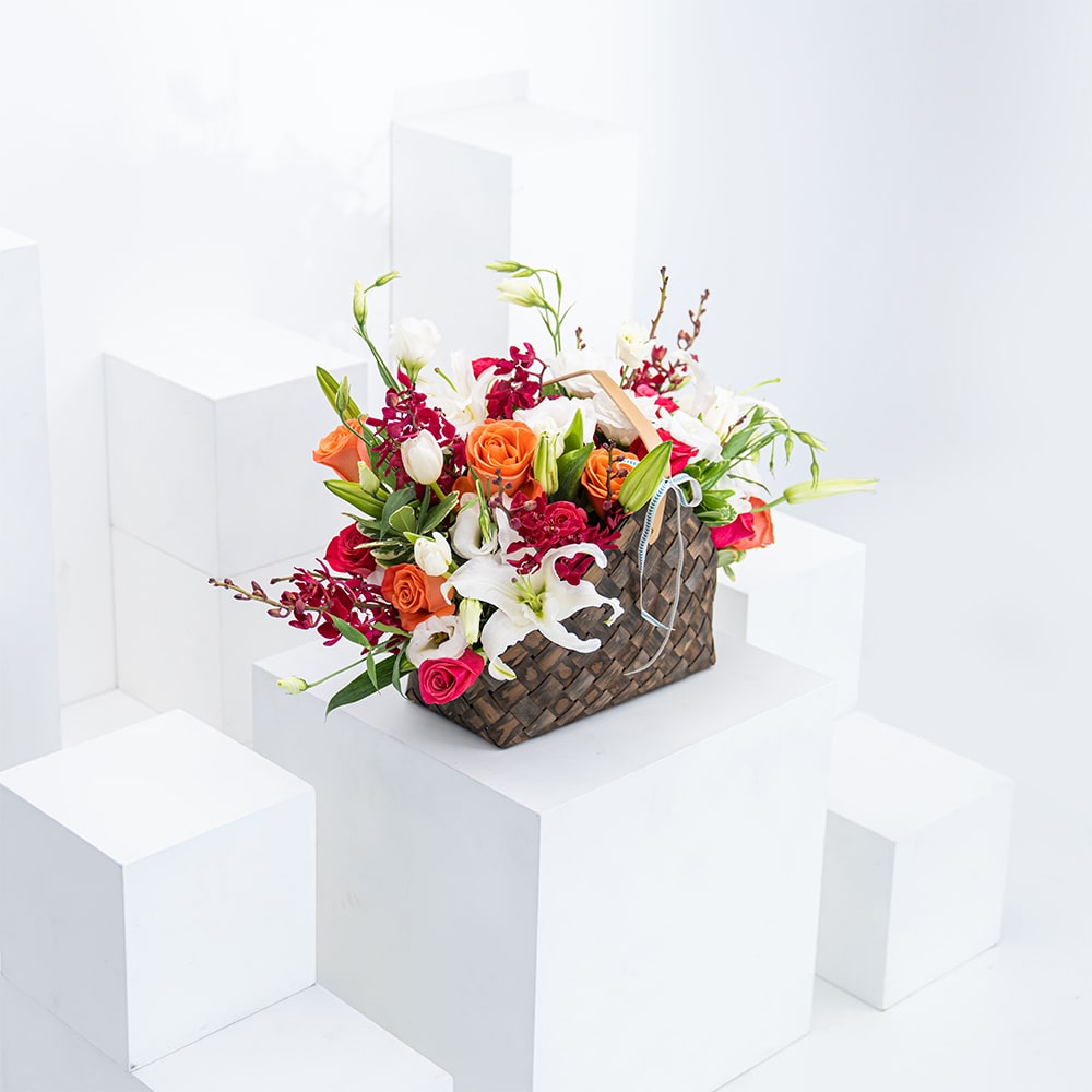 أعجوبة الشتاء