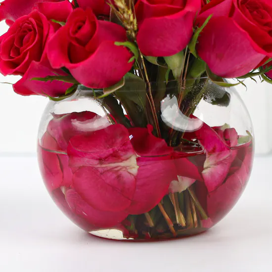 18 Fuchsia Roses | Fish Bowl