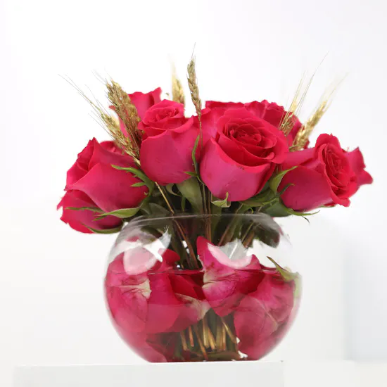 18 Fuchsia Roses | Fish Bowl