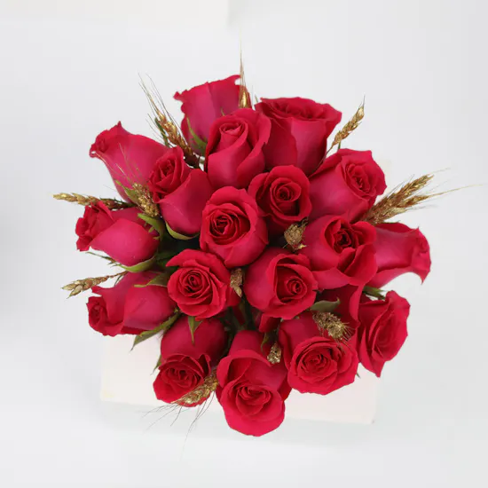 18 Fuchsia Roses | Fish Bowl