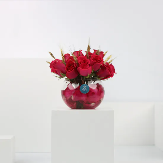 18 Fuchsia Roses | Fish Bowl