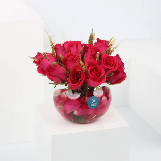 18 Fuchsia Roses | Fish Bowl