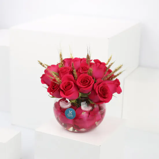 18 Fuchsia Roses | Fish Bowl